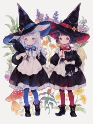 Rule 34 | 2girls, animal, animal ears, apron, bat wings, bird, black dress, black footwear, black hair, blue eyes, blue headwear, blue pantyhose, blunt bangs, boots, buckle, cat, closed mouth, conago, crow, dress, flower, flower request, frills, hat, highres, holding, holding animal, holding hands, light blush, light smile, long hair, long sleeves, looking at viewer, moon (ornament), multiple girls, mushroom, original, pantyhose, plant, plant request, puffy long sleeves, puffy sleeves, rabbit ears, red eyes, red headwear, red pantyhose, short hair, standing, star ornament, white apron, white background, white hair, wings, witch, witch hat, yellow flower