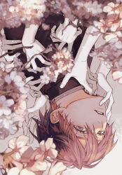 Rule 34 | 1boy, bishounen, cherry blossoms, empty eyes, extra arms, from side, gakuran, grey eyes, hand around neck, hand on another&#039;s cheek, hand on another&#039;s face, hand on another&#039;s shoulder, head tilt, highres, looking at viewer, male focus, original, parted lips, pink hair, portrait, school uniform, solo, sunlight, twig, uminonew, upside-down
