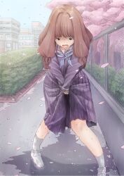 1girl almond_yuri ankle_socks between_legs black_eyes brown_hair cherry_blossoms crying crying_with_eyes_open dress hand_between_legs hand_on_own_crotch knees_together_feet_apart long_hair original pee pee_stain peeing peeing_self puddle purple_dress sailor_collar school_uniform shoes socks solo tears white_socks