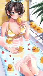 Rule 34 | 1girl, absurdres, aqua eyes, bare shoulders, bathtub, bikini, blush, bow hairband, breasts, brown hair, feet out of frame, hairband, halterneck, heart, highres, hololive, looking at viewer, medium breasts, moonbell, oozora subaru, oozora subaru (hololive summer 2019), partially submerged, petals, polka dot, rubber duck, short hair, solo, striped bikini, striped clothes, swept bangs, swimsuit, thighs, tile wall, tiles, virtual youtuber, water, wet