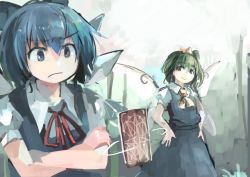 Rule 34 | 2girls, ascot, blue dress, blue eyes, blue hair, bow, card, cirno, crossed arms, daiyousei, dress, fairy, fairy wings, floating card, green eyes, green hair, hair bow, hair ornament, ice, ice wings, ichiba youichi, looking at another, multiple girls, ponytail, puffy sleeves, shirt, short hair, short sleeves, side ponytail, skirt, skirt set, smile, spell card, touhou, vest, wings