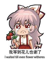 Rule 34 | 1girl, bow, chinese text, closed mouth, collared shirt, crying, crying with eyes open, english text, engrish text, flower, fujiwara no mokou, hair between eyes, hair bow, holding, holding flower, jokanhiyou, long hair, pants, puffy short sleeves, puffy sleeves, ranguage, red eyes, red flower, red pants, shirt, short sleeves, simple background, simplified chinese text, solo, suspenders, tears, touhou, white background, white bow, white hair, white shirt