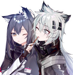 Rule 34 | 2girls, absurdres, animal ear fluff, animal ears, arknights, black capelet, black gloves, black hair, black jacket, blush, brown eyes, capelet, commentary, fingerless gloves, food, gloves, grey eyes, hair between eyes, hair ornament, hairclip, hand on another&#039;s head, hand up, high collar, highres, holding, holding food, id card, jacket, lappland (arknights), long hair, long sleeves, looking at another, looking at viewer, moyume, multiple girls, one eye closed, pocky, scar, scar across eye, scar on face, sidelocks, silver hair, simple background, texas (arknights), upper body, white background, wolf ears
