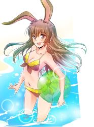 Rule 34 | 1girl, animal ears, ball, bare arms, bare legs, bare shoulders, beach, beachball, bikini, blush, bra, breasts, brown eyes, brown hair, cleavage, collarbone, day, extra ears, facing viewer, faunus (rwby), floating hair, front-tie bikini top, front-tie top, halterneck, happy, holding, holding ball, iesupa, lace, lace-trimmed bikini, lace-trimmed bra, lace-trimmed panties, lace trim, long hair, looking at viewer, matching hair/eyes, medium breasts, navel, ocean, open mouth, outdoors, panties, partially submerged, rabbit ears, rabbit girl, rabbit tail, rwby, smile, solo, sparkle, standing, stomach, swimsuit, tail, tongue, transparent, underwear, velvet scarlatina, wading, water
