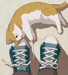 Rule 34 | animal focus, aqua footwear, avogado6, brown cat, brown pants, cat, commentary request, foot focus, from above, looking to the side, lying, on floor, on side, original, out of frame, pants, pov, shadow, shoelaces, shoes, sneakers, solo, solo focus, untying, white cat