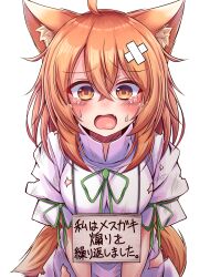 Rule 34 | 1girl, animal ear fluff, animal ears, breasts, crossed bandaids, crying, crying with eyes open, dress, fang, fox ears, fox girl, fox tail, highres, kudamaki tsukasa, medium breasts, medium hair, open mouth, orange eyes, orange hair, pet shaming, short sleeves, sign, sign around neck, simple background, siw0n, tail, tears, torn clothes, torn dress, touhou, translation request, white background, white dress