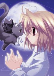 1girl animal_ear_fluff antenna_hair arcueid_brunestud blonde_hair cat closed_mouth commentary english_commentary from_side full_moon highres len_(cat)_(tsukihime) len_(tsukihime) long_sleeves minazuki_haruka moon night outdoors photoshop_(medium) profile short_hair smile solo sweater third-party_source tsukihime turtleneck upper_body