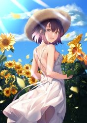 Rule 34 | 1girl, :d, black hair, blue sky, blurry, breasts, brown eyes, brown hat, cloud, depth of field, dress, field, flower, flower field, from behind, hat, highres, katou megumi, light rays, looking at viewer, looking back, open mouth, outdoors, saenai heroine no sodatekata, short hair, sky, smile, solo, standing, straw hat, sundress, sunlight, teeth, white dress, yabai-san, yellow flower