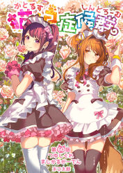 Rule 34 | 2girls, absurdres, animal ears, apron, at-home cafe, black thighhighs, bow, bow apron, brown eyes, buttons, cat ears, cat girl, cat tail, catulus syndrome, character request, collared dress, copyright name, crossover, double-breasted, dress, episode title, floral background, flower, flower to mouth, frilled apron, frills, hair bow, hair bun, hair over shoulder, highres, holding, holding flower, leaf, long hair, looking at viewer, looking away, maid, maid apron, maid headdress, multiple girls, neck ribbon, parted lips, paw print, petticoat, pink bow, pink flower, pink ribbon, pink rose, pink scrunchie, puffy short sleeves, puffy sleeves, purple eyes, ribbon, rose, scrunchie, shinonome neko-tarou, short sleeves, sleeve cuffs, smile, tail, tareme, thighhighs, twintails, white apron, white bow, white headdress, white thighhighs, wrist cuffs