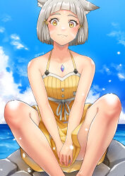Rule 34 | 1girl, absurdres, animal ears, bare arms, cat ears, chest jewel, closed mouth, commentary, day, dress swimsuit, facial mark, feet out of frame, grey hair, highres, horizon, nia (fancy sundress) (xenoblade), nia (xenoblade), one-piece swimsuit, outdoors, ribbed swimsuit, rock, short hair, sitting, sitting on rock, smile, solo, spaghetti strap, swimsuit, water, xenoblade chronicles (series), xenoblade chronicles 2, yellow eyes, yellow one-piece swimsuit, you nf