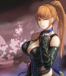 Rule 34 | 1girl, breasts, brown eyes, brown hair, cao xiong, cleavage, dead or alive, dead or alive 5, female focus, kasumi (doa), large breasts, long hair, ponytail, solo