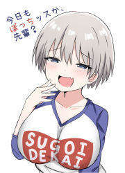 Rule 34 | 1girl, :d, blue eyes, blush, breasts, clothes writing, collarbone, commentary request, fang, grey hair, hair between eyes, half-closed eyes, hand up, large breasts, long sleeves, looking at viewer, open mouth, romaji commentary, romaji text, satori (ymoy), shirt, short hair, simple background, smile, solo, sugoi dekai, translation request, uzaki-chan wa asobitai!, uzaki hana, white background, white shirt