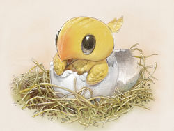 Rule 34 | 00s, baby, bird, chick, chicobo, chocobo, egg, eggshell, final fantasy, final fantasy xi, hatching, lowres, nest, no humans, solo