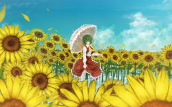 Rule 34 | 1girl, absurdres, ascot, cloud, day, female focus, field, flower, flower field, green hair, has bad revision, has downscaled revision, highres, kazami yuuka, md5 mismatch, modama, nature, parasol, petals, plaid, plaid skirt, plaid vest, red eyes, resolution mismatch, short hair, skirt, skirt set, solo, source smaller, sunflower, sunflower field, touhou, umbrella, vest, water