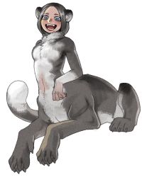 Rule 34 | 1girl, :d, animal ears, blue eyes, body fur, centauroid, claws, copyright request, fangs, furry, furry female, grey fur, grey hair, highres, kui ryouko, looking at viewer, monster, monster girl, open mouth, short hair, simple background, smile, solo, tail, taur, white background