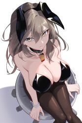 Rule 34 | 1girl, absurdres, alternate breast size, animal ears, bare shoulders, black collar, black pantyhose, bowlp, breasts, cleavage, closed mouth, collar, commentary, english commentary, fake animal ears, feet out of frame, from above, grey hair, hair between eyes, highres, honkai: star rail, honkai (series), huge breasts, leotard, long hair, looking at viewer, pantyhose, playboy bunny, rabbit ears, sitting, solo, star rail special pass (honkai: star rail), stelle (honkai: star rail), trailblazer (honkai: star rail), white wrist cuffs, wrist cuffs, yellow eyes