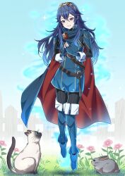 Rule 34 | 1girl, ameno (a meno0), aura, blue eyes, blue hair, boots, cape, cat, day, fence, fingerless gloves, fire emblem, fire emblem awakening, fire emblem engage, flat chest, gloves, grass, grin, long hair, long sleeves, lucina (fire emblem), nintendo, outdoors, pantyhose, rabbit, smile, solo, symbol-shaped pupils, thigh boots, tiara