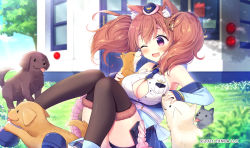 Rule 34 | 1girl, ;d, animal, animal ear fluff, animal ears, aoi yun, bare shoulders, blue hat, blue jacket, blue neckwear, blue skirt, blush, boots, breasts, brown hair, brown thighhighs, building, cleavage, collared shirt, copyright notice, copyright request, day, dog, dog ears, dog girl, dog hair ornament, dog tail, dress shirt, fang, frilled skirt, frills, fur-trimmed legwear, fur trim, hair ornament, hat, jacket, large breasts, long sleeves, mini hat, off shoulder, official art, one eye closed, open clothes, open jacket, open mouth, outdoors, purple eyes, shirt, skirt, sleeveless, sleeveless shirt, sleeves past wrists, smile, solo, tail, thighhighs, thighhighs under boots, tree, twintails, white footwear, white shirt, window