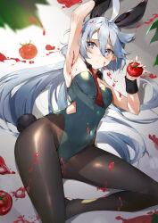 Rule 34 | 1girl, ahoge, alternate costume, animal ears, arm up, armpits, blurry, breasts, clothing cutout, covered navel, depth of field, fake animal ears, food, food on body, food on clothes, food on face, fruit, grey hair, gundam, gundam suisei no majo, highleg, highleg leotard, highres, holding, holding food, holding fruit, kasumi komo, leotard, long hair, lying, miorine rembran, on side, pantyhose, parted lips, playboy bunny, purple eyes, rabbit ears, rabbit tail, small breasts, solo, tail, tomato, tomato sauce, very long hair, wide hips