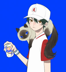 Rule 34 | 1boy, animal, animal on shoulder, blue background, blue eyes, can, cat, commentary, cowboy shot, echizen ryooma, green hair, hair between eyes, hat, highres, holding, holding can, looking at viewer, male focus, ngop, short hair, short sleeves, simple background, solo, tennis no ouji-sama, white hat, wristband