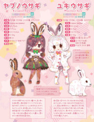 Rule 34 | 2girls, animal, animal ears, european hare (kemono friends), extra ears, kemono friends, kikuchi milo, looking at viewer, mountain hare (kemono friends), multiple girls, rabbit, rabbit ears, rabbit girl, simple background