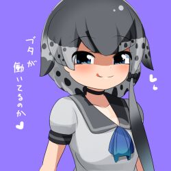 Rule 34 | 1girl, :q, ascot, black bow, blue ascot, blue eyes, blush, bow, breasts, closed mouth, commentary request, dress, grey dress, grey hair, grey sailor collar, hair bow, heart, kemono friends, lets0020, looking at viewer, medium bangs, narwhal (kemono friends), puffy short sleeves, puffy sleeves, purple background, sailor collar, sailor dress, short dress, short sleeves, simple background, single sidelock, small breasts, smile, solo, spotted hair, tongue, tongue out, translation request, upper body