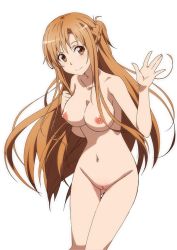 Rule 34 | asuna (sao), breasts, cleft of venus, large breasts, long hair, navel, nipples, nude, nude filter, pussy, sword art online, third-party edit, uncensored
