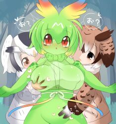 Rule 34 | 3girls, bow, bowtie, breasts, brown hair, brown sweater, cellval, colored skin, commentary request, covered erect nipples, cowboy shot, elbow gloves, eurasian eagle owl (kemono friends), forest, gloves, grabbing, grabbing another&#039;s breast, grabbing from behind, green bow, green bowtie, green gloves, green hair, green shirt, green skin, green skirt, grey hair, grey sweater, groping, hair between eyes, head wings, highres, kemono friends, large breasts, lets0020, looking at viewer, medium bangs, multicolored hair, multiple girls, nature, northern white-faced owl (kemono friends), open mouth, red eyes, shirt, short hair, skirt, sweater, tree, white hair, wings, yuri