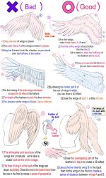 Rule 34 | angel wings, bat wings, commentary, english commentary, english text, guide, highres, how to, original, simple background, white background, wings, yoshimura takuya