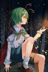 Rule 34 | 1girl, absurdres, antennae, black cape, black shorts, brown footwear, buttons, cape, closed mouth, collared shirt, foot out of frame, green eyes, green hair, highres, juliet sleeves, koizumo, long sleeves, profile, puffy sleeves, shirt, shoes, short hair, shorts, smile, socks, solo, touhou, white shirt, white socks, wriggle nightbug