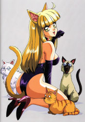Rule 34 | 1980s (style), absurdres, animal ears, ass, blonde hair, cat, cat ears, cat tail, elbow gloves, gloves, high heels, highres, mon-mon (miyazaki kenjin), official art, retro artstyle, retro artstyle, tail