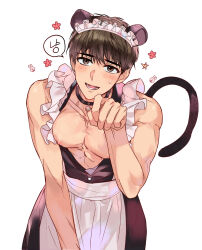 Rule 34 | 1boy, abs, animal ears, apron, bishounen, black collar, blush, brown eyes, brown hair, cat ears, cat tail, collar, cowboy shot, flower (symbol), frilled apron, frills, highres, jeong taeui, maid apron, maid headdress, male focus, mi8 89, nipples, open clothes, open mouth, passion (manhwa), paw pose, pectorals, rabbit symbol, short hair, simple background, smile, solo, star (symbol), tail, teeth, white apron, white background
