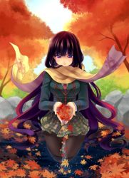 Rule 34 | 1girl, autumn, autumn leaves, kneeling, leaf, original, own hands together, pantyhose, piko (mea), pleated skirt, pond, purple hair, scarf, skirt, smile, solo, tree
