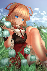 Rule 34 | 1girl, arm up, black shirt, blonde hair, bloomers, blouse, blue eyes, blue sky, blunt bangs, bobby socks, cloud, day, expressionless, flower, grass, hair ribbon, head tilt, highres, holding, holding flower, knees up, lily of the valley, looking at viewer, medicine melancholy, medium hair, on ground, outdoors, puffy short sleeves, puffy sleeves, red neckwear, red ribbon, red skirt, ribbon, shirt, short sleeves, shounen (hogehoge), sitting, skirt, sky, socks, solo, touhou, underwear, white socks