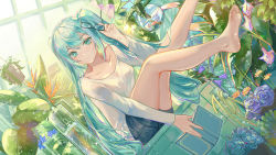 Rule 34 | 1girl, barefoot, book, commentary, denim, denim shorts, dutch angle, unworn eyewear, fern, fish, fishbowl, flower, glasses, greenhouse, hatsune miku, highres, holding, holding book, holding removed eyewear, indoors, legs up, light smile, long hair, looking at viewer, open book, plant, potted plant, qie, rose, shorts, sitting, skirt, solo, succulent plant, twintails, vase, very long hair, vocaloid, white skirt