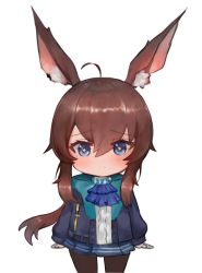 Rule 34 | + +, 1girl, ahoge, amiya (arknights), animal ear fluff, animal ears, arknights, ascot, bad id, bad pixiv id, blue ascot, blue eyes, blue jacket, blue skirt, blush, brown hair, brown pantyhose, chibi, closed mouth, commentary request, dokomon, hair between eyes, highres, jacket, korean commentary, long hair, long sleeves, looking at viewer, open clothes, open jacket, pantyhose, pleated skirt, ponytail, rabbit ears, shirt, sidelocks, simple background, skirt, solo, very long hair, white background, white shirt