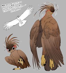 Rule 34 | 1other, beak, bird, bird wings, black eyes, brown feathers, chibi, chibi inset, feathers, full body, grey background, highres, li sakura, multiple views, no humans, original, parted lips, spread wings, standing, standing on one leg, talons, wings