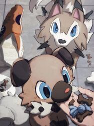 Rule 34 | arc draws, bowl, commentary, creatures (company), dog, english commentary, evolutionary line, game freak, gen 7 pokemon, highres, looking at viewer, lycanroc, lycanroc (midday), nintendo, no humans, pet bowl, pet food, pokemon, pokemon (creature), pov, pov hands, rare candy, rockruff, tile floor, tiles, twitter username