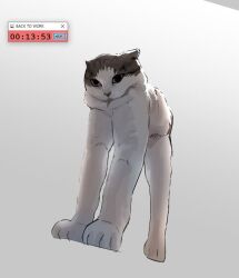 Rule 34 | animal, animal focus, cat, countdown timer, english text, full body, grey background, jar (jar ans), long legs, no humans, original, simple background, solo, standing, window (computing)