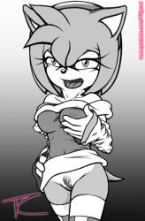 Rule 34 | amy rose, bare shoulders, breasts, cleft of venus, furry, looking at viewer, monochrome, pubic hair, pussy juice, sega, smile, sonic (series), tcprod