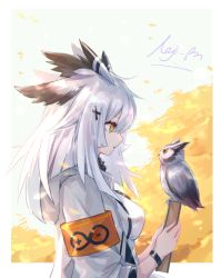 Rule 34 | 1girl, arknights, armband, bird, book, border, bracelet, breasts, commentary request, feather hair, from side, grey jacket, hair flaps, hair ornament, hairclip, holding, holding book, hood, hooded jacket, jacket, jewelry, long hair, long sleeves, medium breasts, nejikyuu, orange eyes, outside border, owl, parted lips, partial commentary, profile, ptilopsis (arknights), ptilopsis (elite ii) (arknights), rhine lab logo, signature, upper body, white border, white hair, x hair ornament