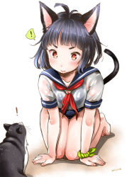 Rule 34 | !, 10s, 1girl, 2015, :&gt;, ahoge, all fours, animal ears, antenna hair, barefoot, black hair, blush, cat, cat ears, collarbone, dated, elin, fang, looking at another, mojarin (kihara mojarin), neckerchief, red eyes, school swimsuit, school uniform, serafuku, shirt, short hair, short sleeves, simple background, solo, spoken exclamation mark, swimsuit, swimsuit under clothes, tail, tera online
