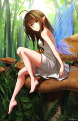 Rule 34 | 1girl, absurdres, ahoge, bare arms, bare shoulders, barefoot, blue wings, breasts, brown hair, closed mouth, commentary, day, dress, fairy, fairy wings, female focus, forest, full body, green eyes, hair between eyes, highres, knee up, long hair, medium breasts, mini person, minigirl, mushroom, nature, ndtwofives, on mushroom, original, outdoors, pointy ears, sitting, sitting on mushroom, sleeveless, sleeveless dress, smile, solo, transparent wings, twitter username, white dress, wings