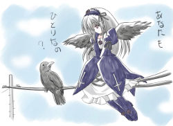 Rule 34 | 00s, bird, comic, crow, imai kazunari, rozen maiden, sitting, solo, suigintou, translated, wings