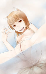 Rule 34 | absurdres, animal ears, breasts, brown hair, giant, giantess, highres, holo, long hair, nipples, nude, pussy, spice and wolf, tail, terada ochiko, uncensored, wolf ears, wolf tail