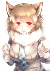 Rule 34 | 1girl, absurdres, animal ears, blush, breasts, brown hair, fang, fur collar, gloves, highres, italian wolf (kemono friends), kanzakietc, kemono friends, large breasts, long hair, looking at viewer, multicolored hair, necktie, open mouth, plaid, plaid necktie, plaid neckwear, pleated skirt, simple background, skirt, solo, tail, white background, white gloves, white hair, wolf ears, wolf girl, wolf tail