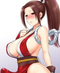 Rule 34 | 1futa, breasts, brown eyes, brown hair, bulge, cleavage, erection, erection under clothes, fatal fury, futanari, high ponytail, huge breasts, japanese clothes, large breasts, ninja, pelvic curtain, ponytail, revealing clothes, rope, shiranui mai, sideboob, solo, st.germain-sal, the king of fighters