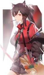 Rule 34 | 1girl, animal ears, arknights, atianshi, bag, belt, black hair, black jacket, black shorts, bottle, bread, breasts, closed mouth, collared shirt, commentary request, cowboy shot, ear piercing, expressionless, food, food in mouth, gloves, green necktie, hands in pockets, highres, jacket, long hair, long sleeves, looking at viewer, medium breasts, mixed-language commentary, mouth hold, multicolored hair, necktie, off shoulder, official alternate costume, open clothes, open jacket, penguin logistics logo, pepper, piercing, pocky, ponytail, red eyes, red gloves, red hair, red shirt, shirt, shorts, sidelocks, solo, spring onion, streaked hair, striped clothes, striped necktie, striped neckwear, striped shorts, sword, texas (arknights), texas (willpower) (arknights), two-tone hair, underbust, vertical-striped clothes, vertical-striped shorts, weapon, wolf ears