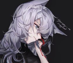Rule 34 | 1girl, absurdres, animal ears, arknights, black background, blood, commentary, grey eyes, head tilt, highres, lappland (arknights), long hair, nyansky, silver hair, simple background, smile, solo, upper body, wolf ears