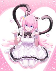 Rule 34 | 1girl, absurdres, alternate costume, animal ears, apron, black bow, black dress, blue eyes, bocchi the rock!, bow, breasts, cat ears, cat tail, cube hair ornament, detached collar, dress, enmaided, frilled dress, frills, full body, gotoh hitori, hair between eyes, hair ornament, heart, heart tail, highres, large breasts, long hair, looking at viewer, maid, multiple tails, one side up, paw pose, pink hair, puffy short sleeves, puffy sleeves, short sleeves, sitting, solo, tail, tokina (toki na), two tails, very long hair, wariza, white apron, wrist cuffs